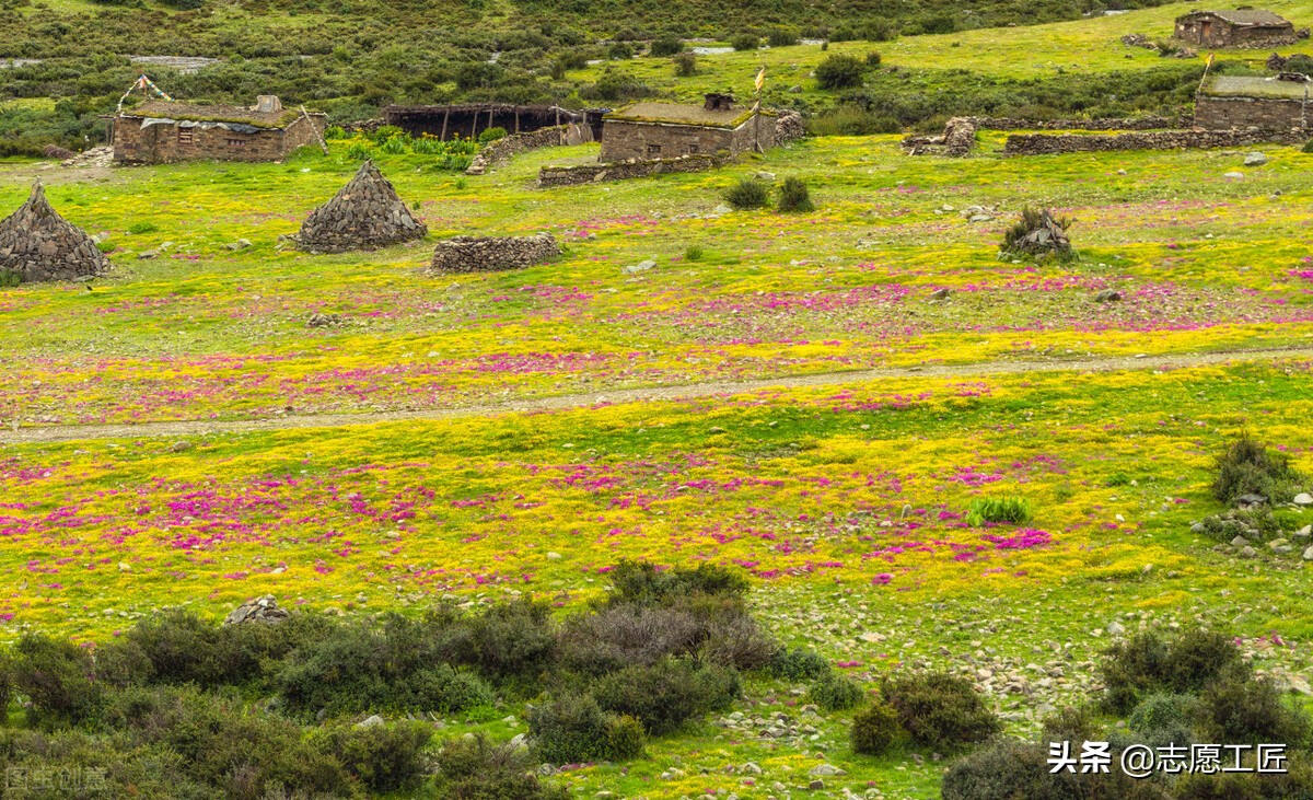 大学专业：农学类下设各专业对比分析，有些专业很冷门但前景很好