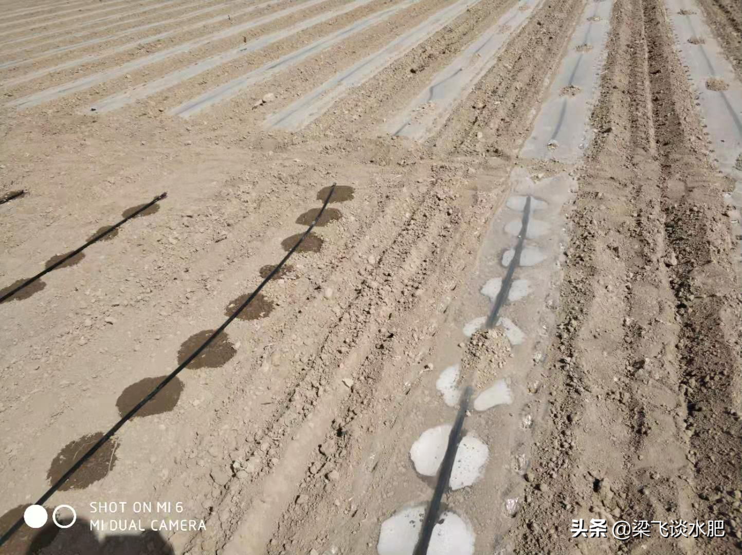 干播湿出下的五个问题与四点建议