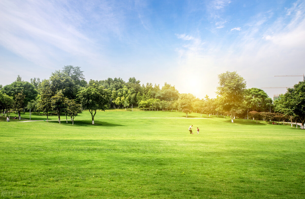 Facebook创始人马克·扎克伯格演讲实录