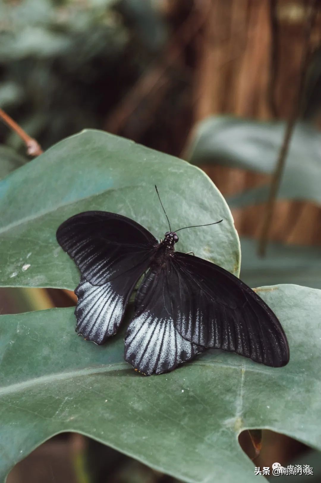 工作十年，分享工作中应该培养的八种能力