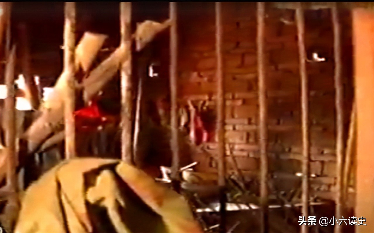 何成慧：大学生被120元“贩卖”，同老汉和牲畜生活17年