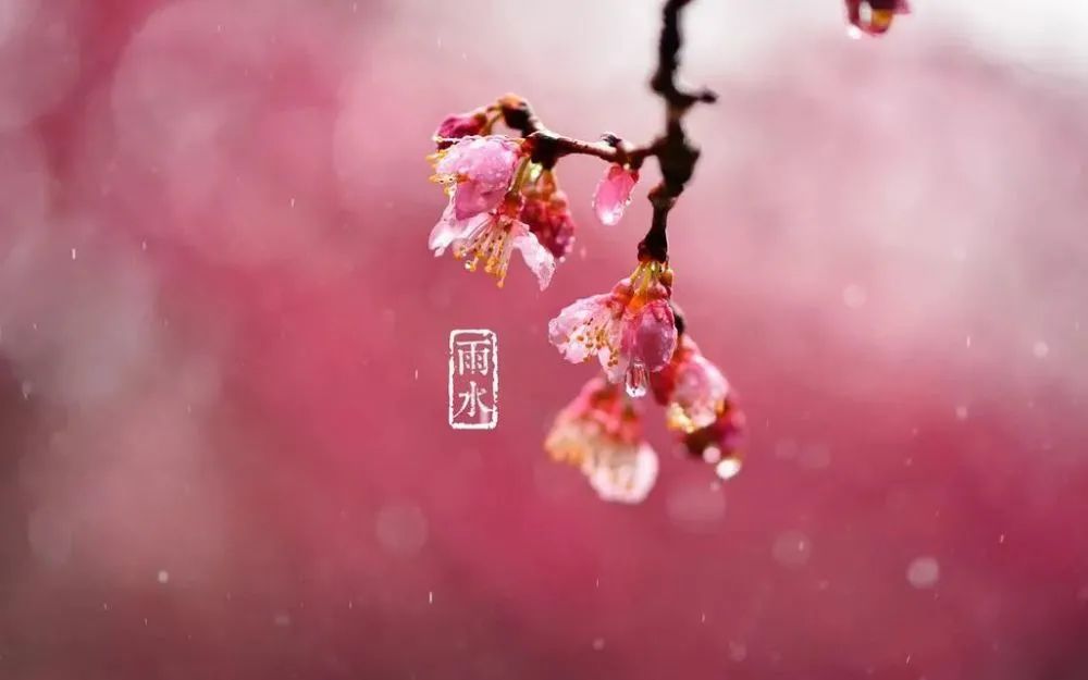 二十四节气雨水暖心寄语 雨水时节快乐问候祝福语