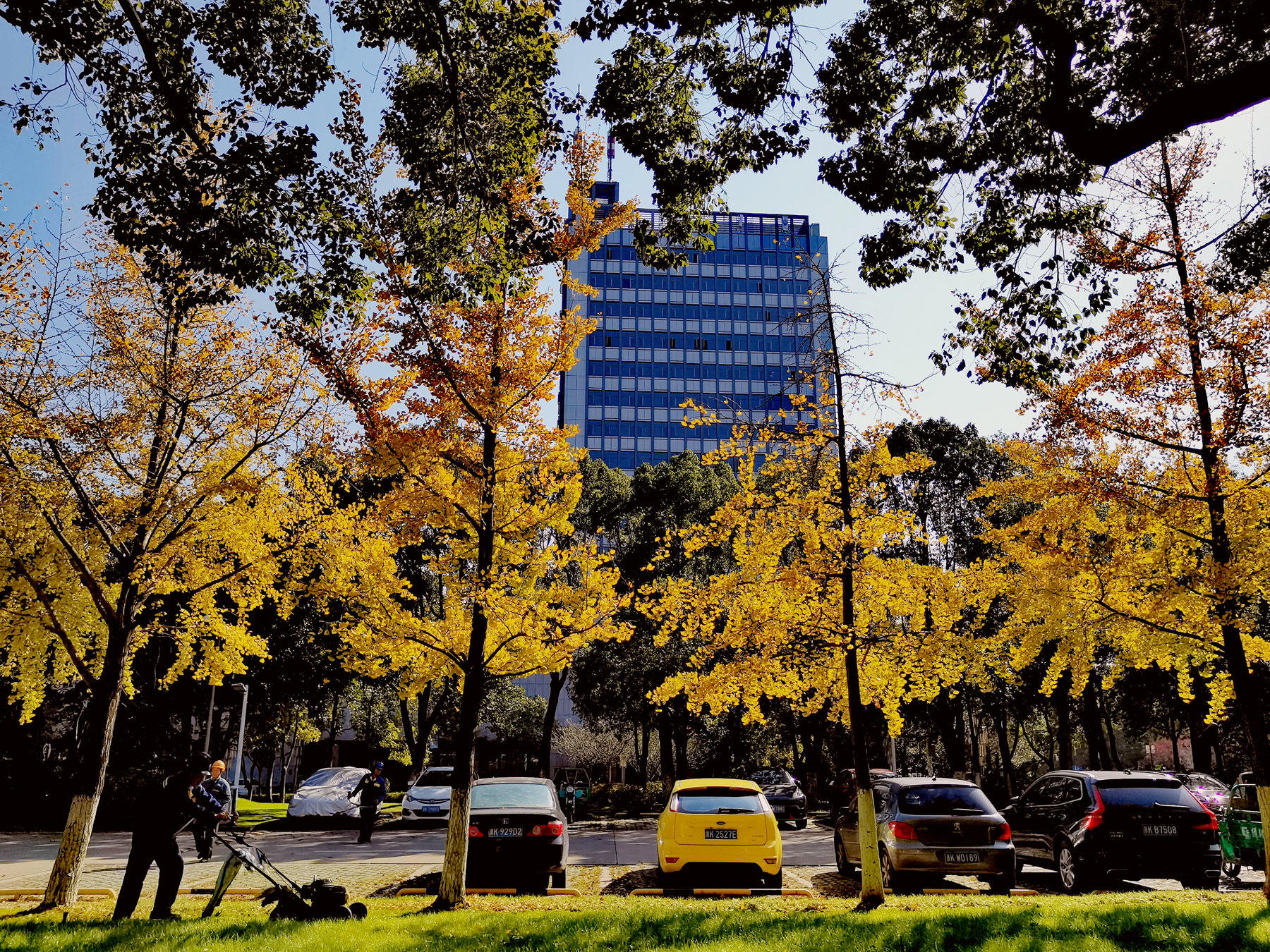 ɵ(de)ҪＰԸ(ge)ص㣨(cheng)ҪＰԸص¼(jian)-10ͼƬ-Ʒ