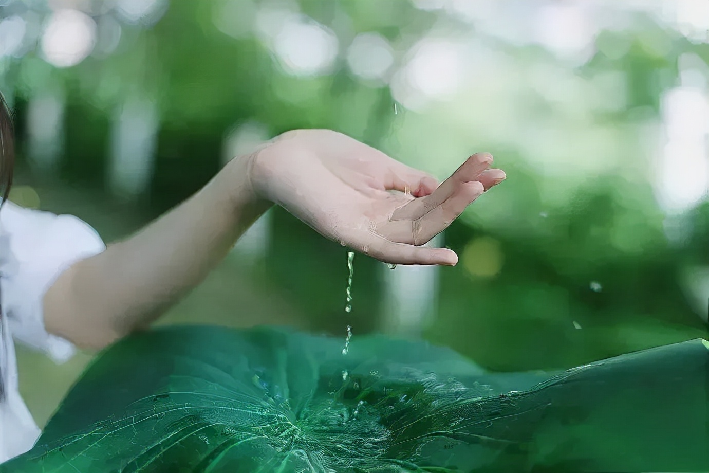 懂你的人和不懂你的人