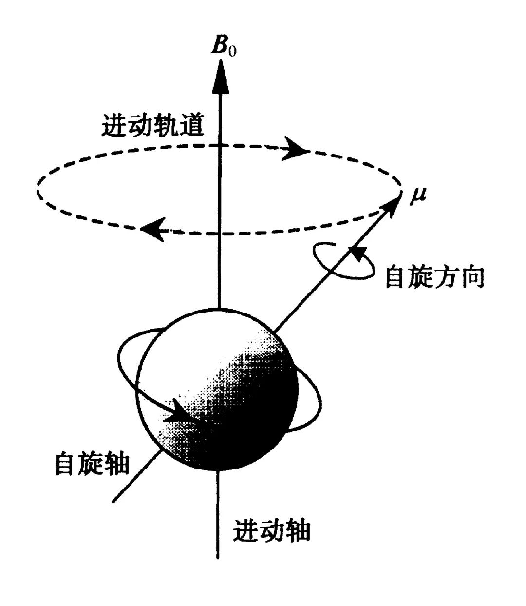 贝研报 02