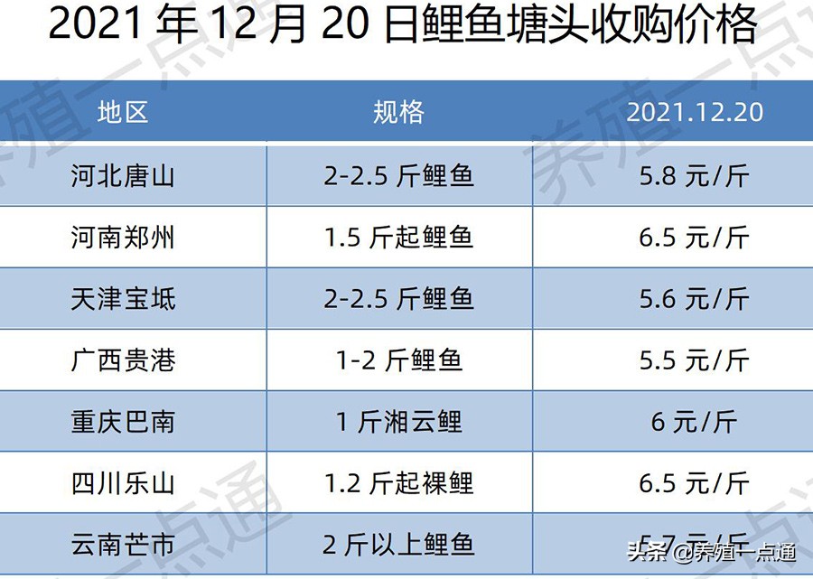 2021年12月20日，罗非、花鲢、鳊鱼、鮰鱼、鲫鱼、黑鱼、鲤塘口价