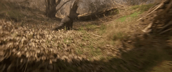 奇异博士2？不如叫《鬼玩人4：多元宇宙英豪》