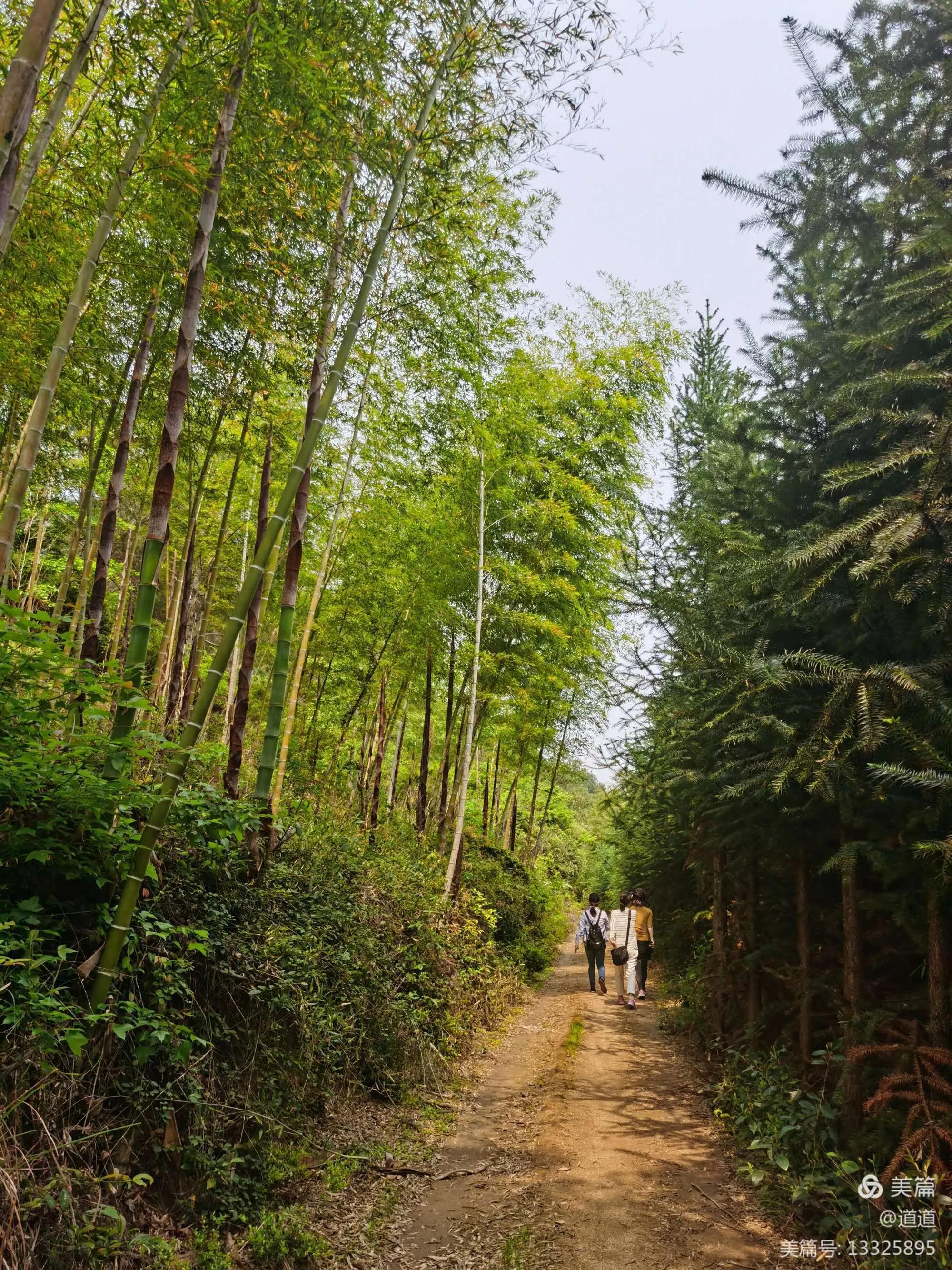 最美人间四月天，莫负踏青好时光