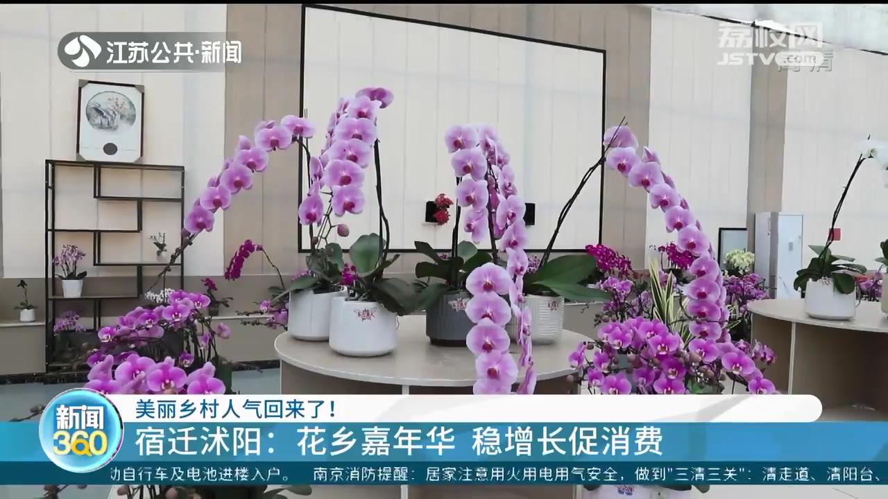 江苏文旅市场复苏 美丽乡村人气回来了