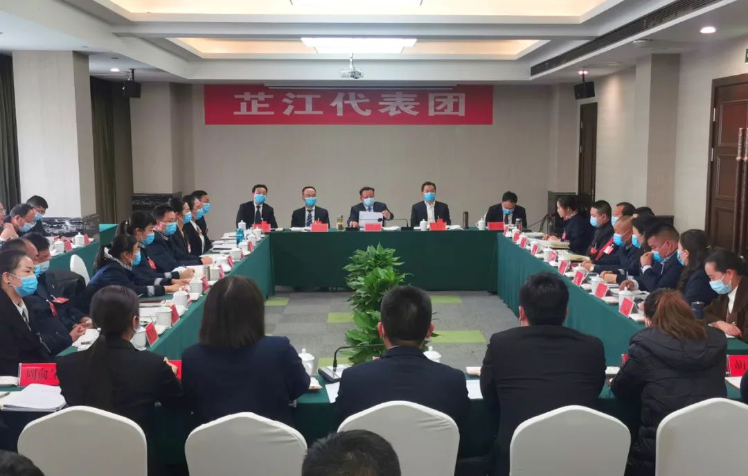 各代表团分组审议政府工作报告