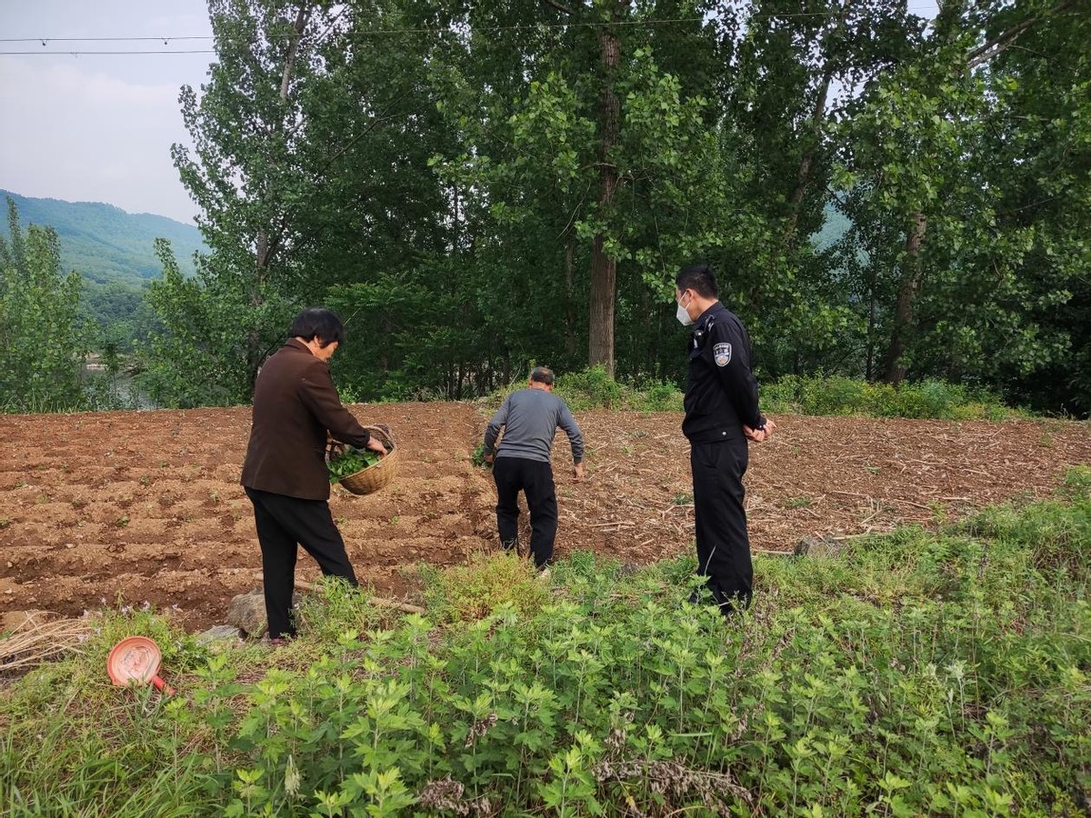 南召站派出所多措并举筑牢五一期间线路治安防线