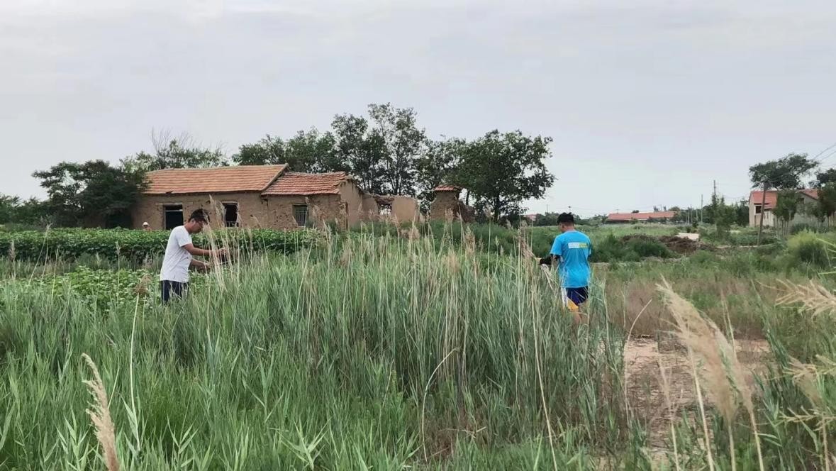 山理工“文心绘龙”实践团：立体墙绘初显规模，关心乡村留守现状