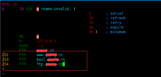 Linux環境中DNS服務的安裝與配置