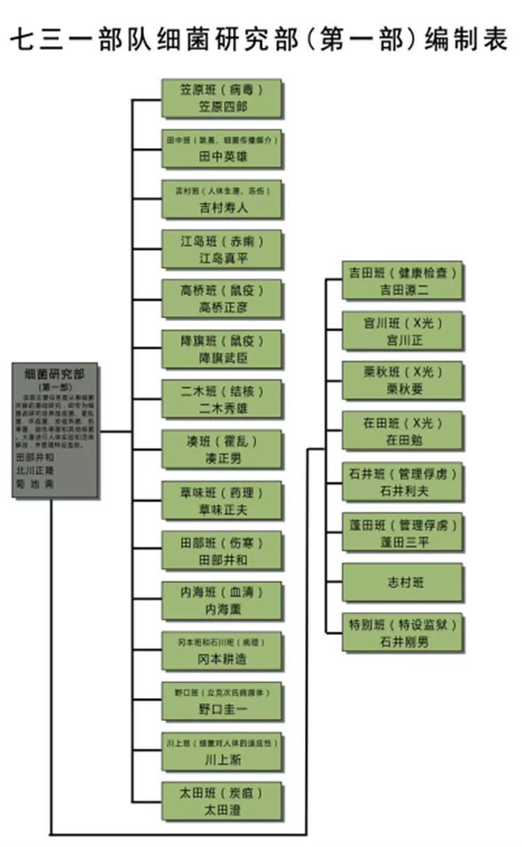 细菌的人工培养实验报告（细菌的人工培养法实验报告）-第1张图片-科灵网