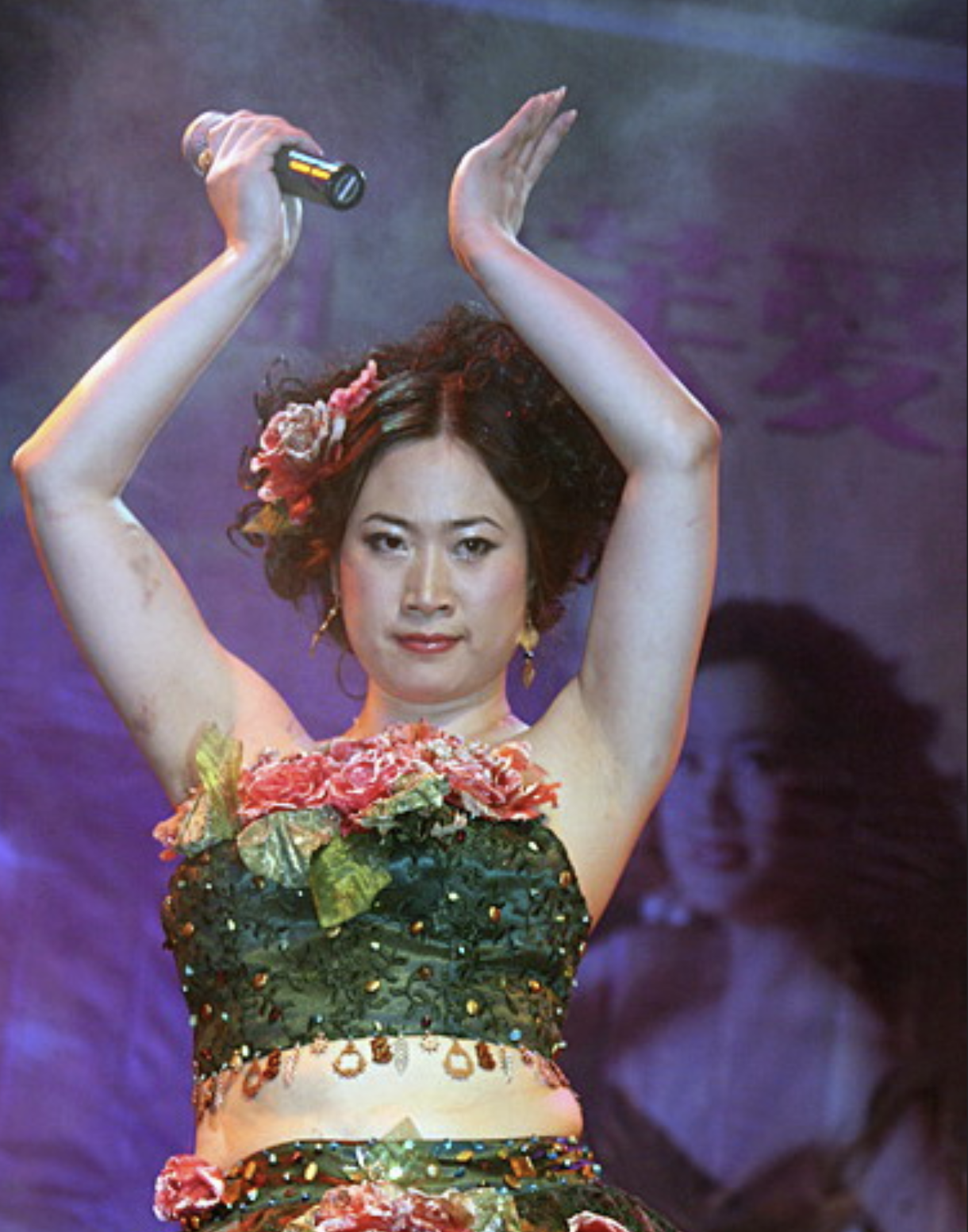 从那之后,金曲奖得主王蓉的事业受到了很大的影响,歌词创作者老猫同样