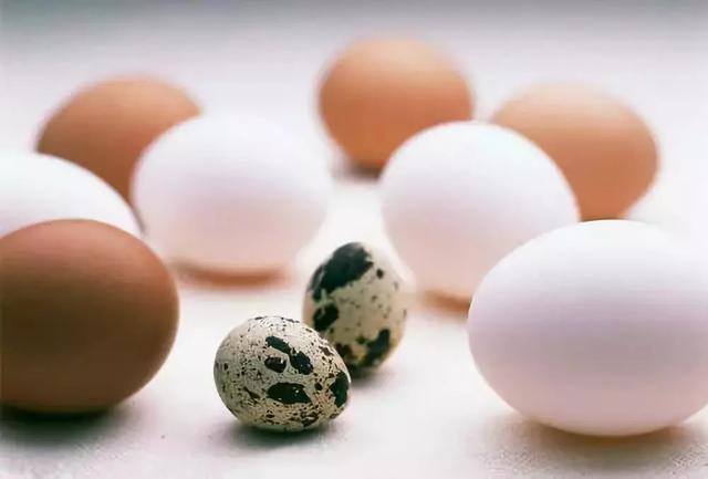 雞蛋、鴨蛋、鵝蛋、鵪鶉蛋，哪個更有營養？ 一文為你解答