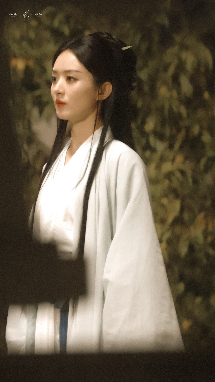 赵丽颖早期穆念慈定妆照曝光