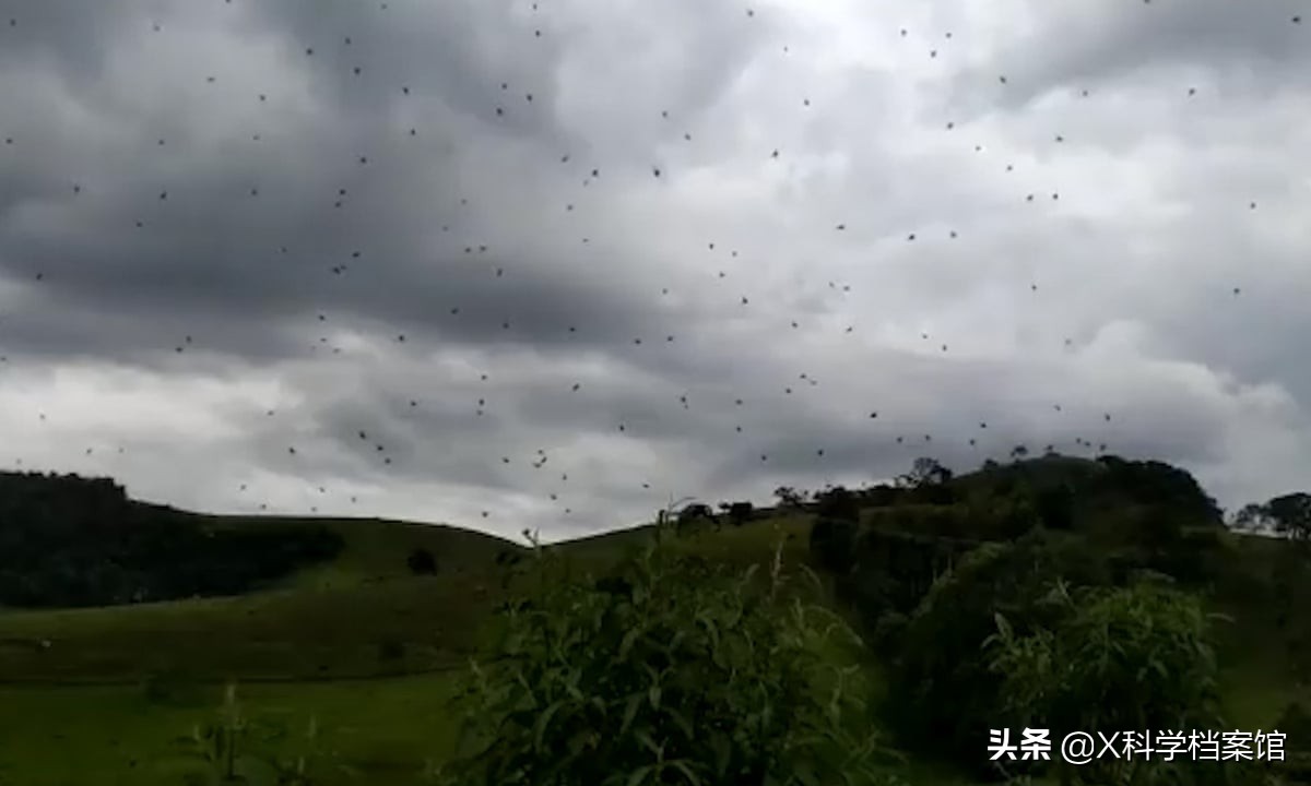 我们都知道真正的寄生虫是谁(15个真实且令人战栗不安的事实，这些知识你可能从未听说过)