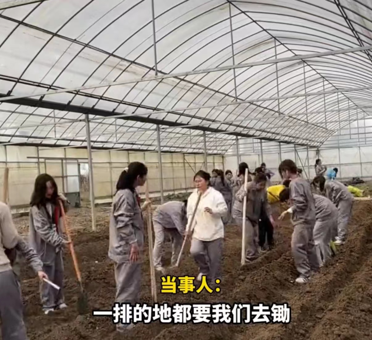 高校实践课女生以为去春游，结果被安排锄地种菜，磨的手上起泡
