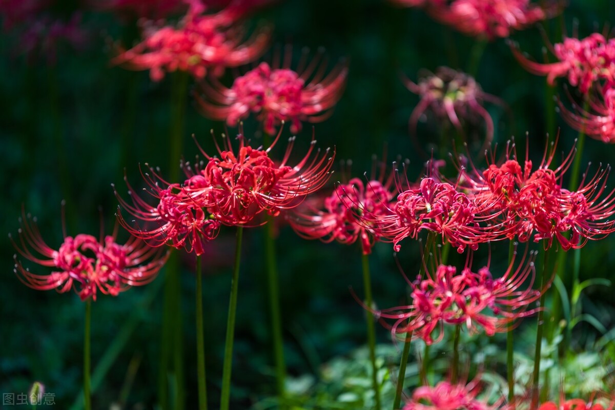 相隔很远，相思很深，亲爱的某人，五一快乐