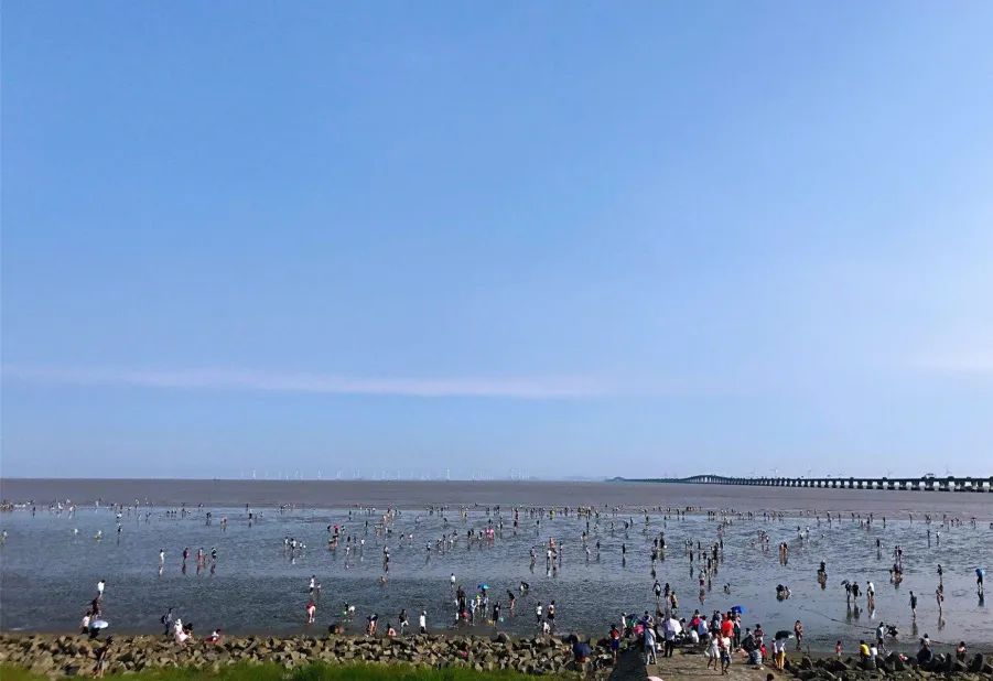 地址:浦东新区南汇新城海滩门票:免费在上海最东部的东海之滨,有一块