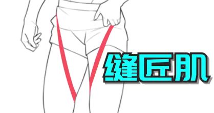 画人体结构怎么练习？漫画人体结构教学