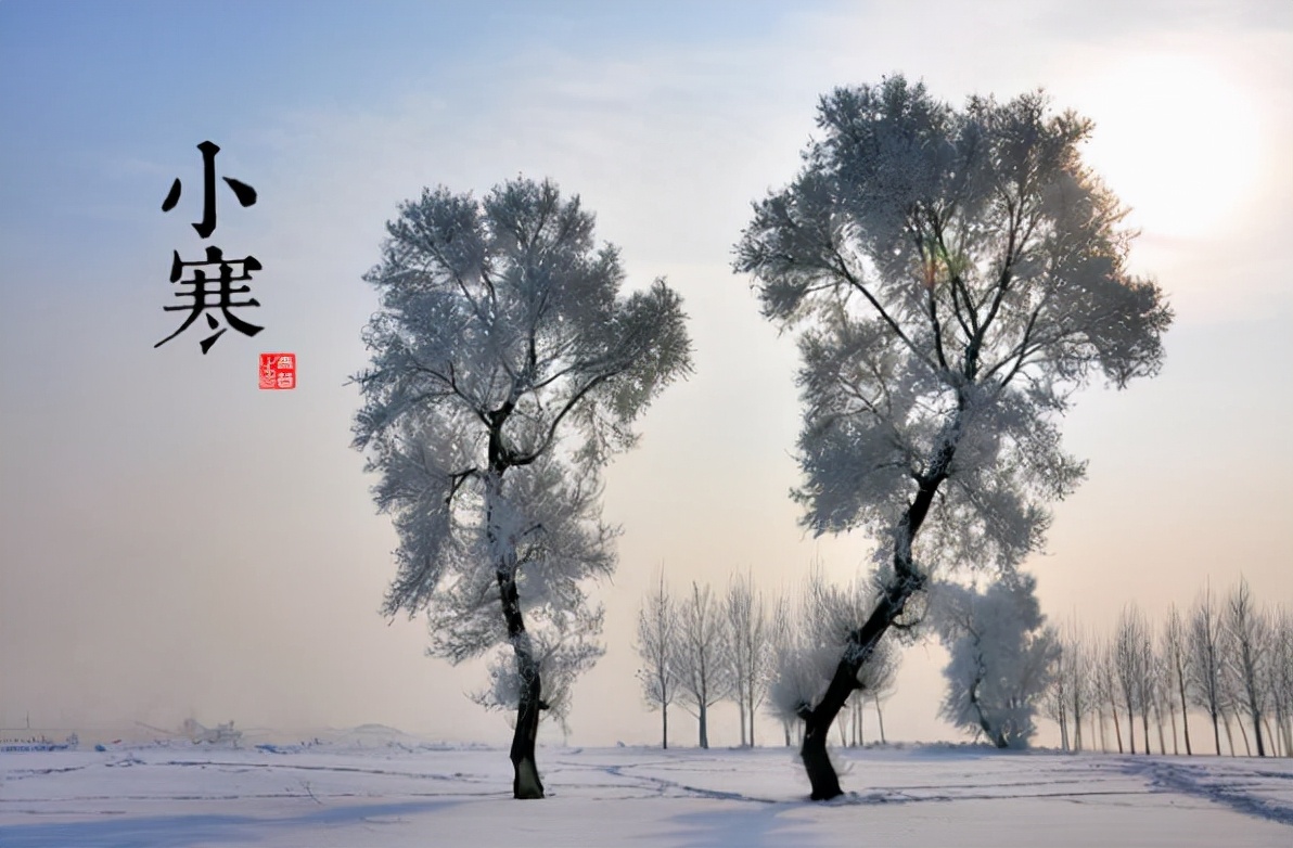 牛马啥意思（俗语：今年“小寒又逢戊，牛马相互穿”，啥意思？涨见识了）