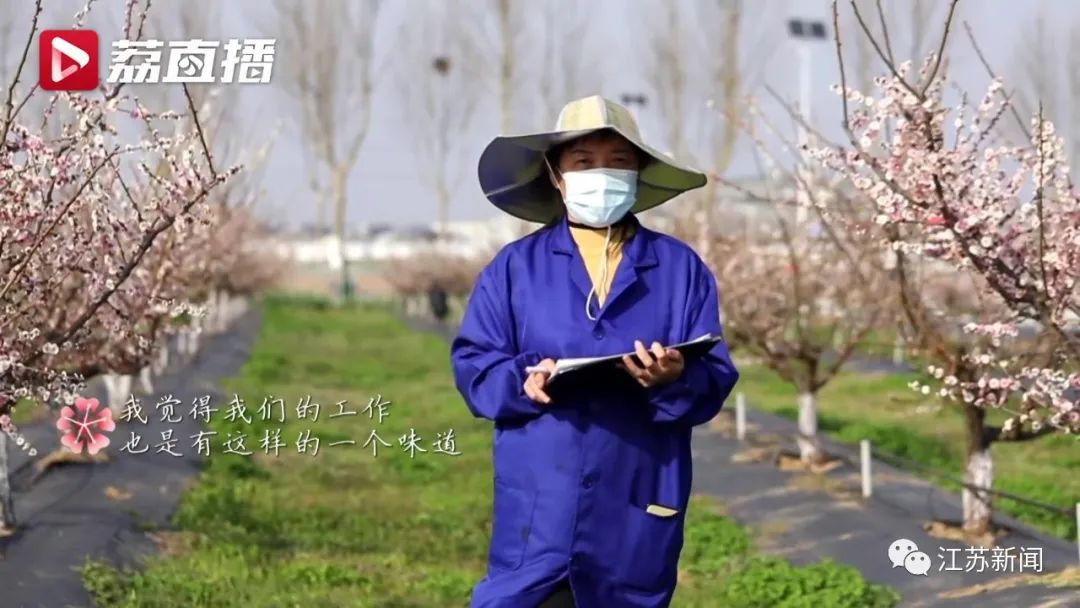 20年坚守三代人奋斗，这群&ldquo;最懂梅花的人&rdquo;，终于开出最美的花