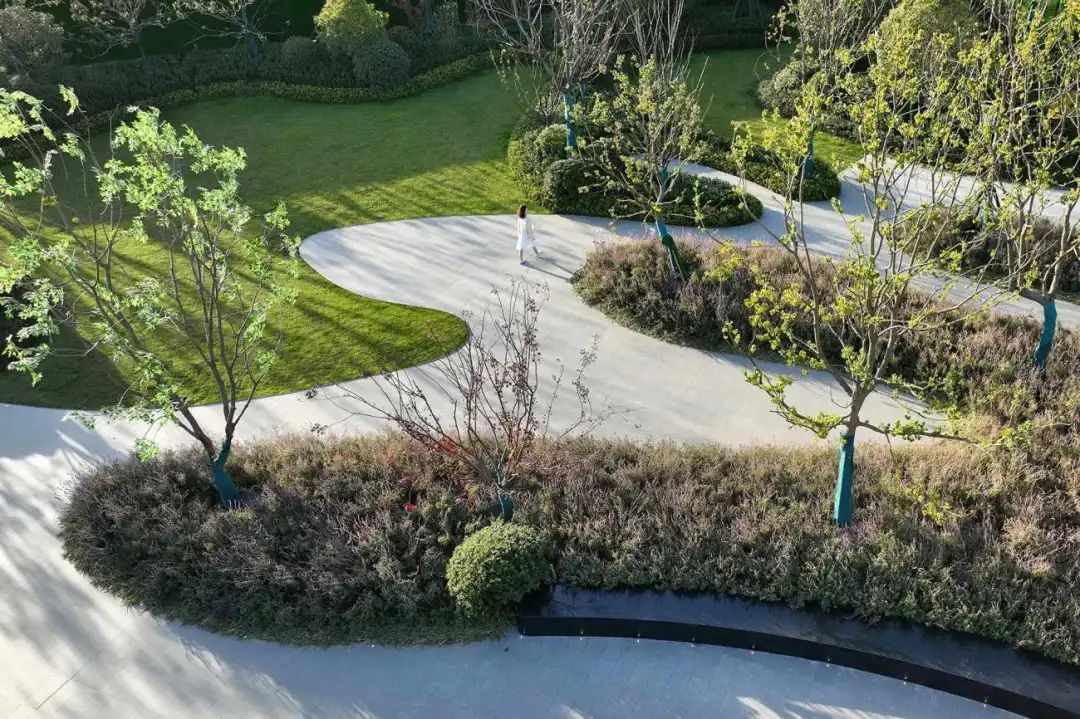 景观设计，“曲线”之美