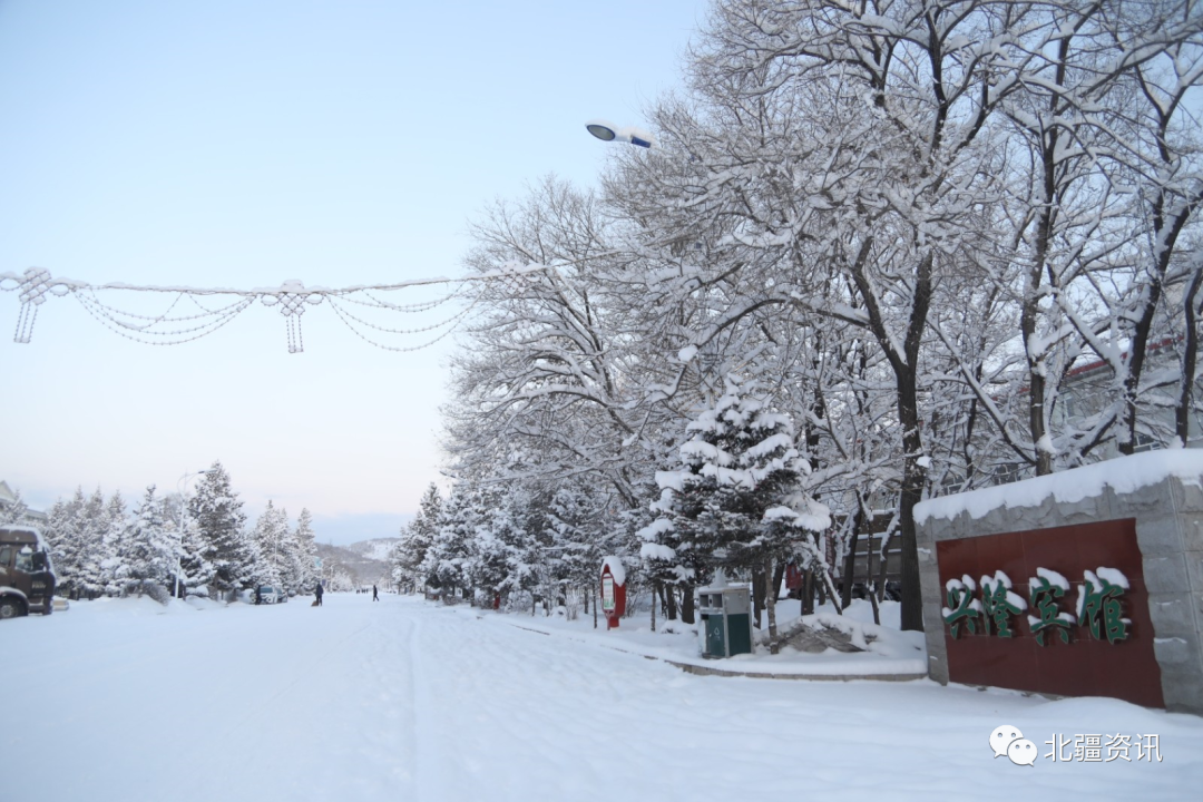 美图！三月春雪添诗意 玉树琼瑶美“出圈”