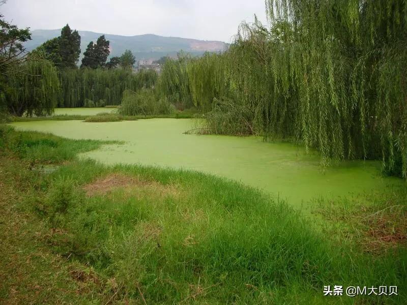 关于昆明4大龙潭的传说-昆明市黑龙潭的传说 - 情书号