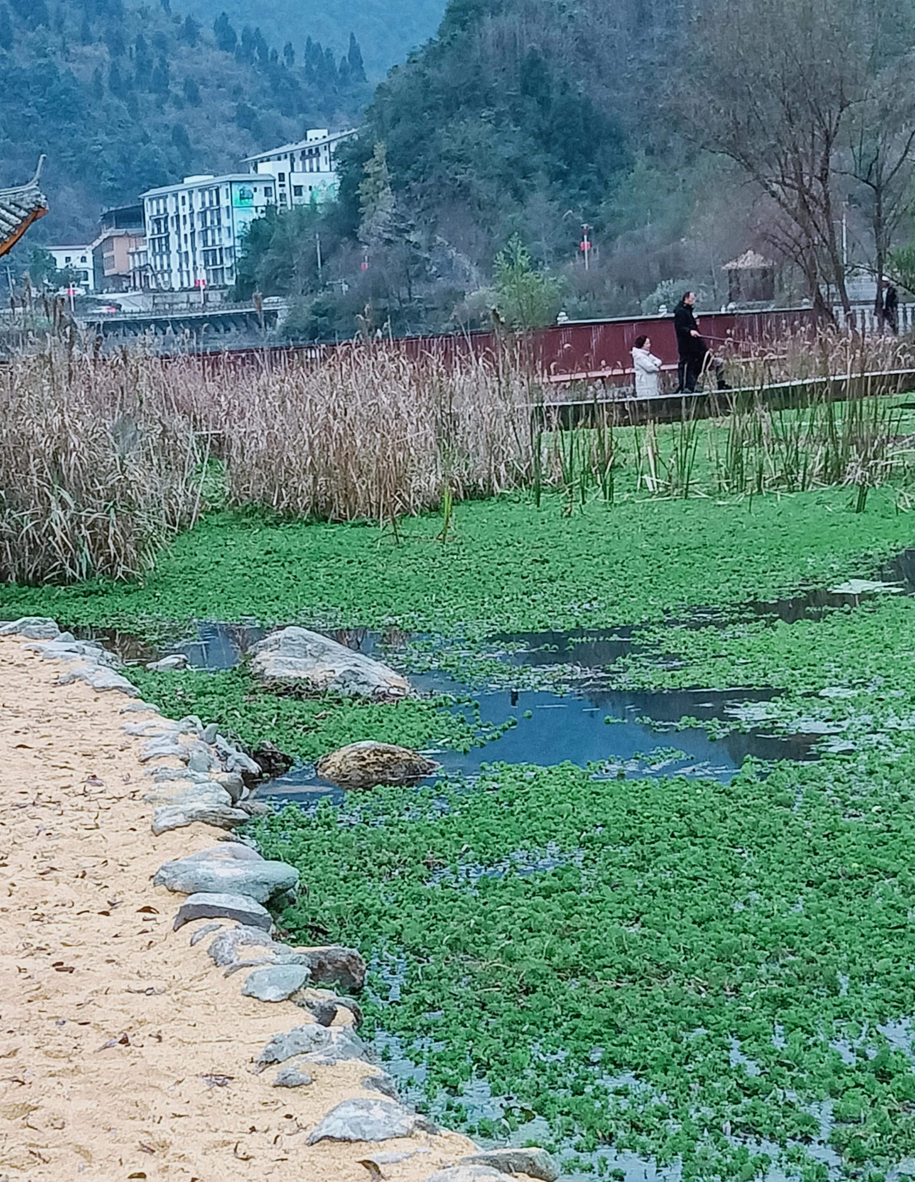 都江堰南桥老街(胜地寻踪：民族地区的一个古镇，原来是都江堰的一个乡（多图）)