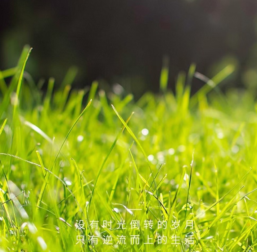 心语心情 绵绵细雨润万物，声声问候暖身心