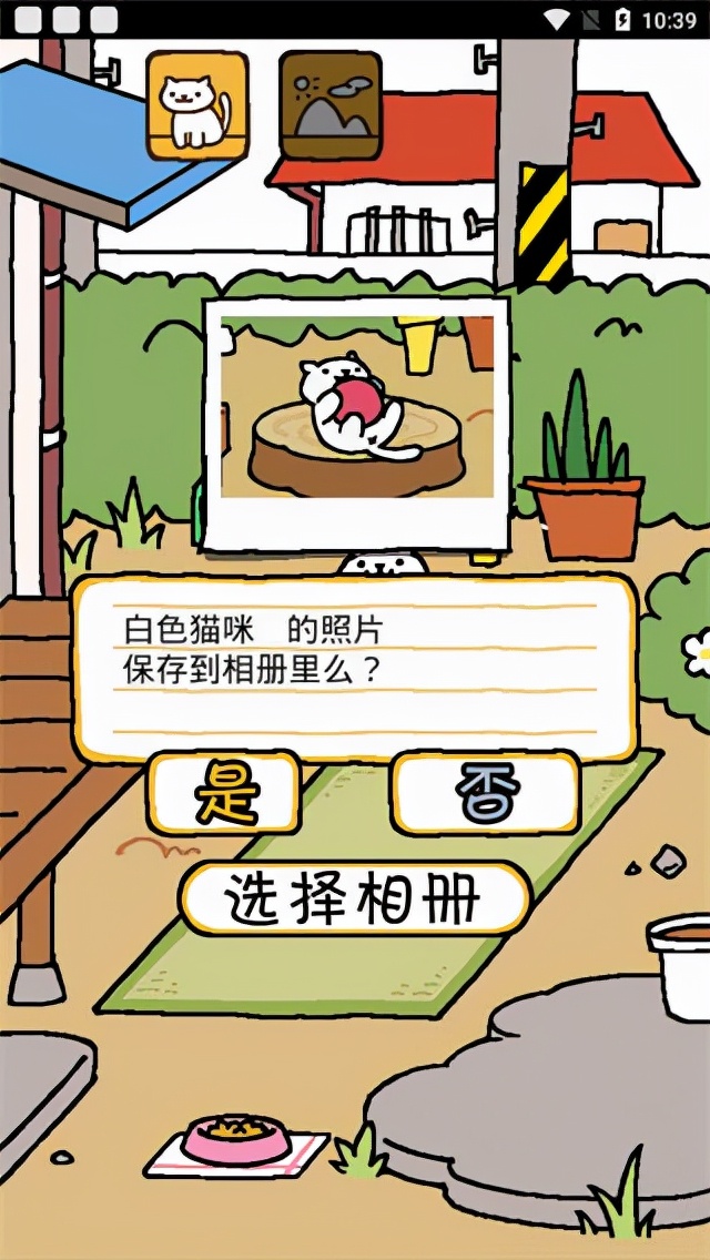 猫咪后院 攻略