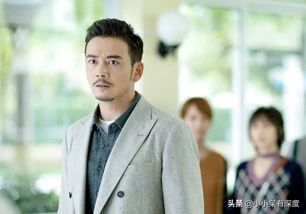 杨烁主演的电视剧全部 杨烁刘涛合作的电视剧-皮皮百科