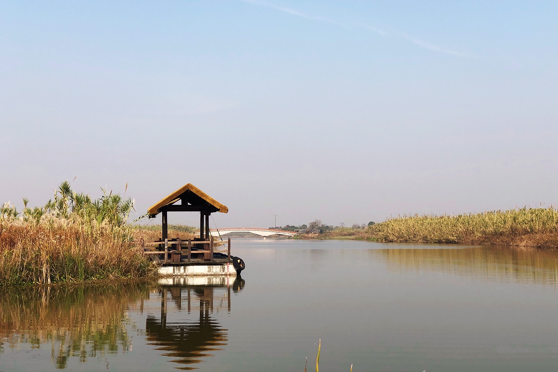 杭州灣溼地公園(浙江最美的打卡地之一,秋季蘆花令人驚豔,原來是寧波