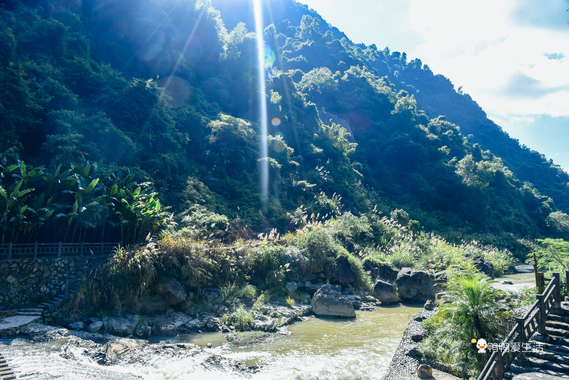 温州泰顺：住进超五星酒店泡温泉，假装在奈良逗小鹿，无比惬意