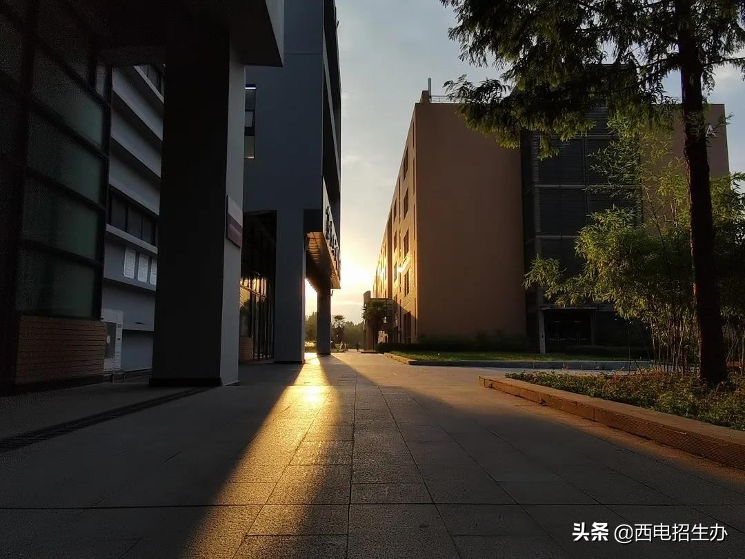 国际关注！这一世界级大奖名单公布，陕西“硬核”教授获全球表彰