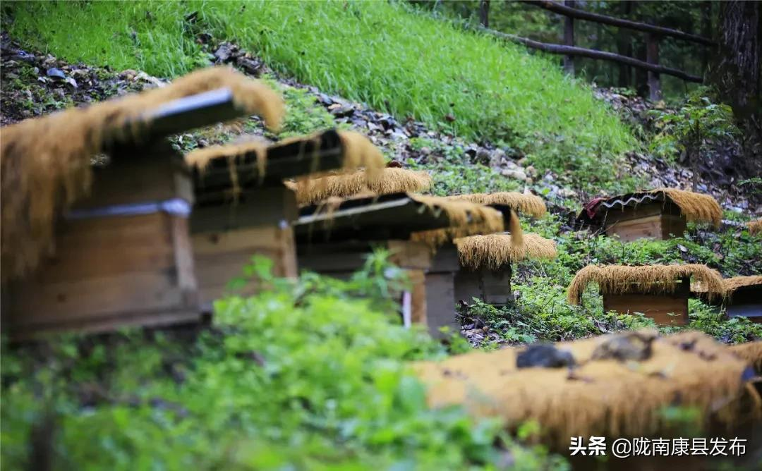 一抹乡愁，山根村