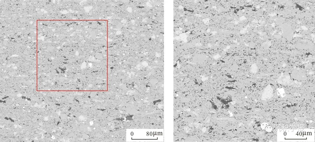 贾云倩等：有机质类型分异规律及其主控机制