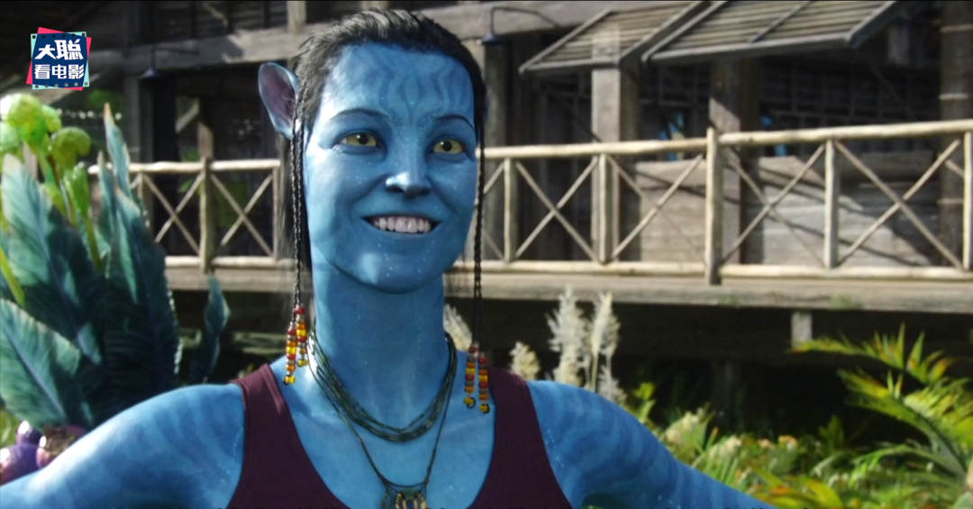 哈利路亚是什么意思 -春风号