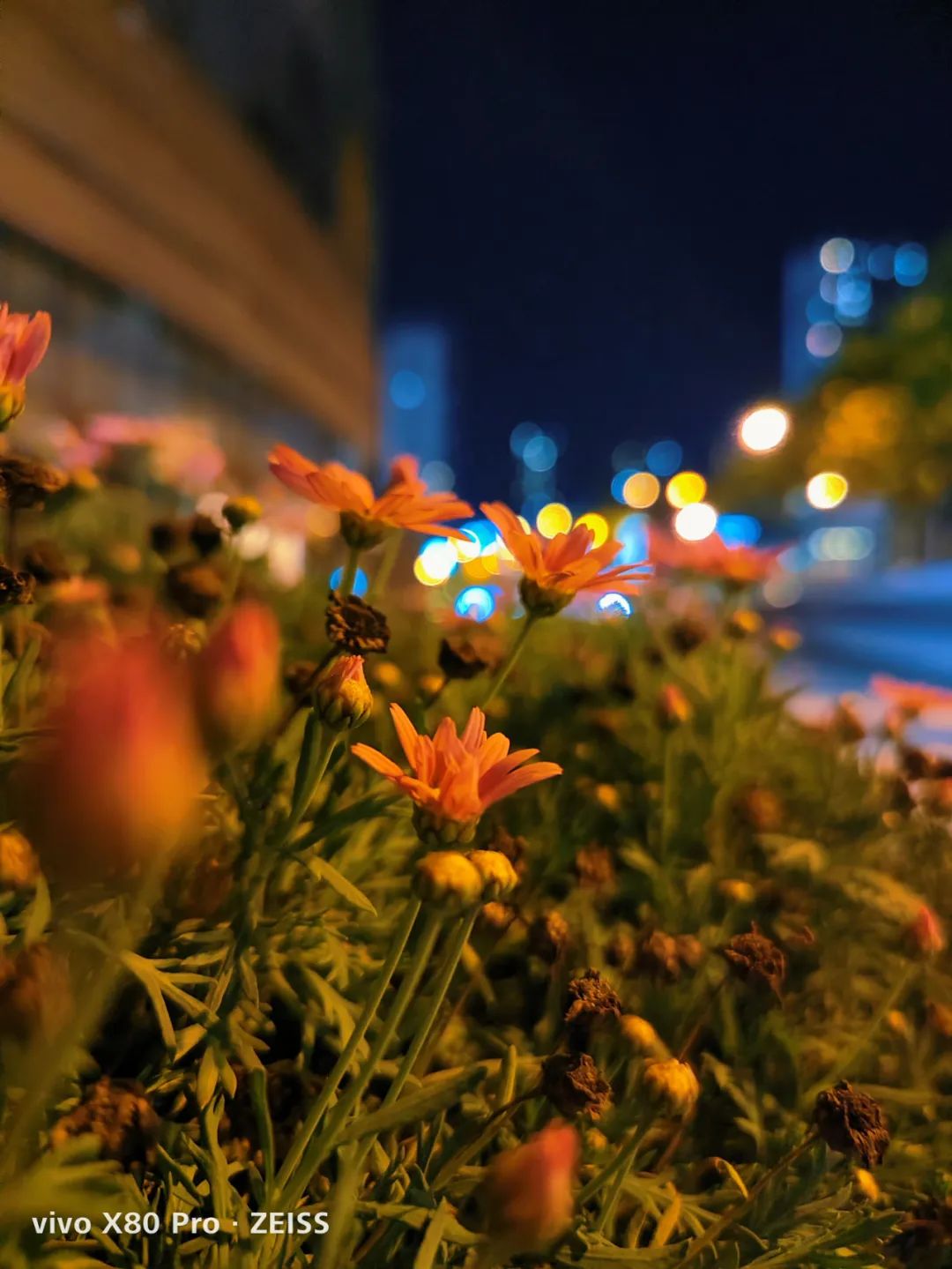 ?vivo X80 Pro测评：全系“升杯”，享受旗舰影像体验