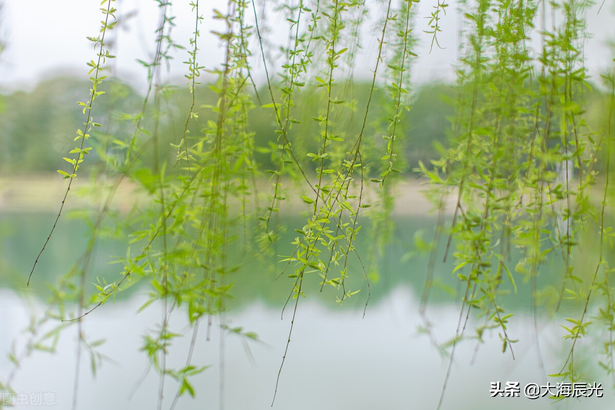 愿春和景明(人间四月，春和景明，愿所有的美好都如期而至)