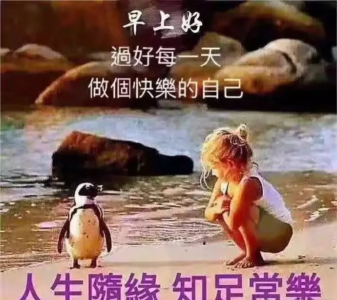 人生最美的风景：就是你在，我在，温暖常在，早安