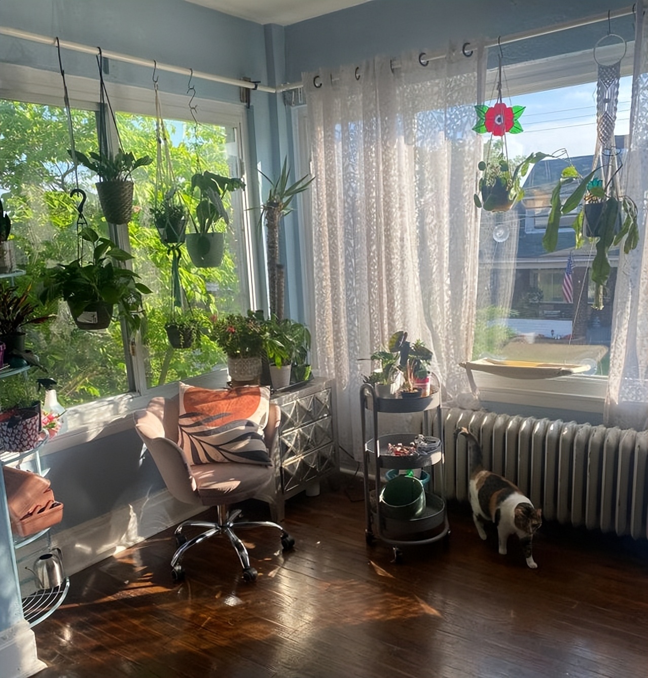 30张图看世界：越南女兵宿舍内叠被子，朝鲜阅兵的女兵方阵