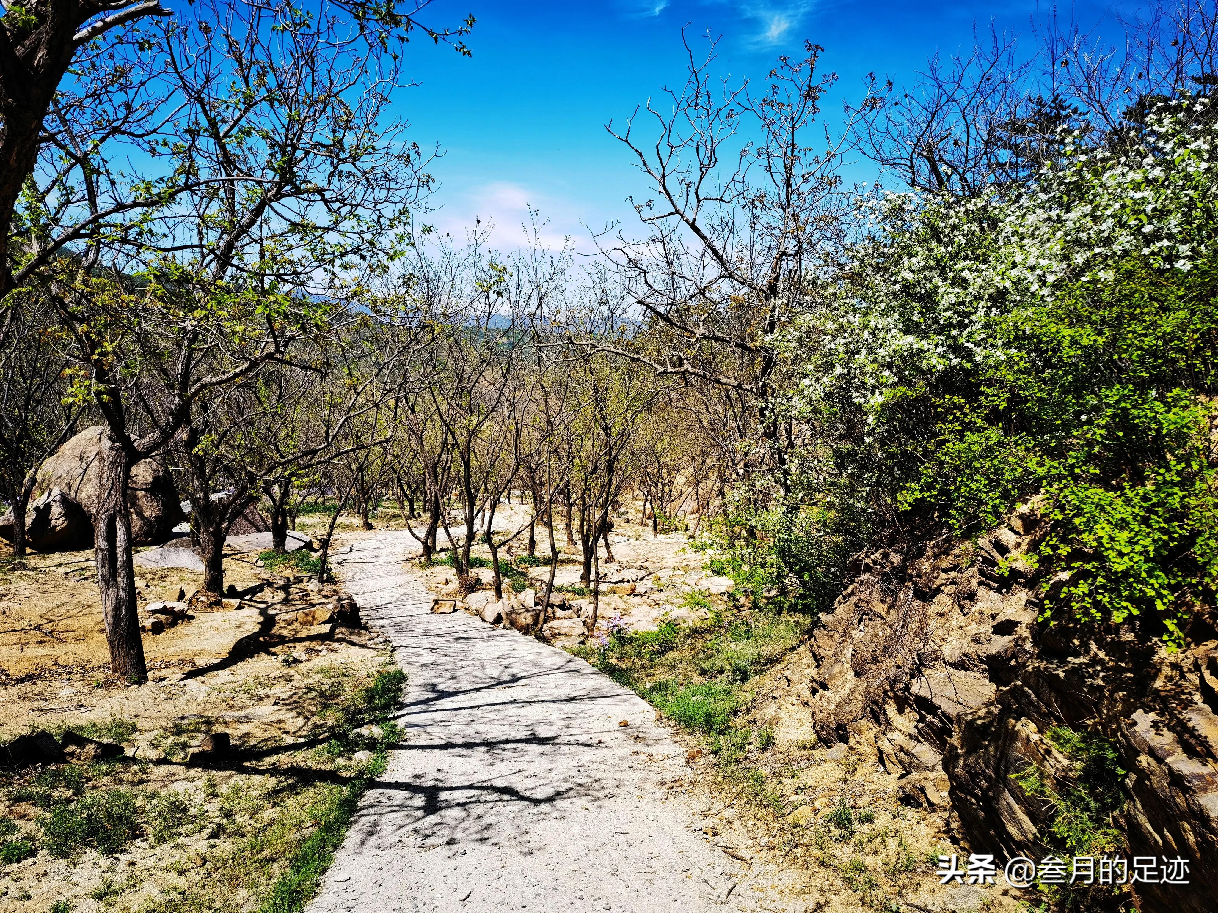 北京昌平，自驾游环线轻徒步线路，大黑山木栈道之旅