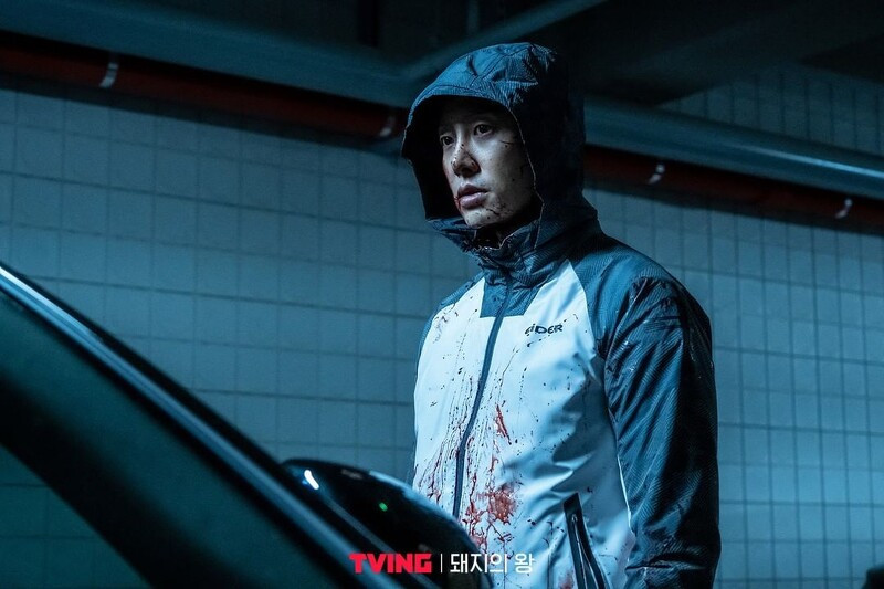 2022上半年播放量最多韩剧出炉！《军检察官多伯曼》成黑马