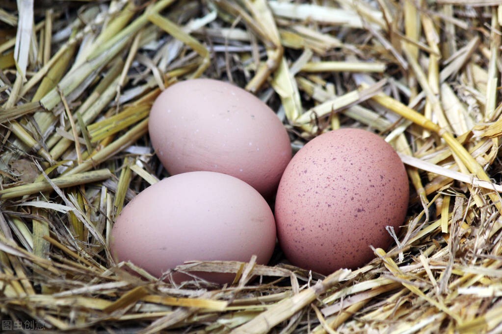 鹅蛋不能与什么食物同吃(鸡蛋、鸭蛋、鹅蛋和鹌鹑蛋，谁的营养价值高？提醒：少吃这2种蛋)