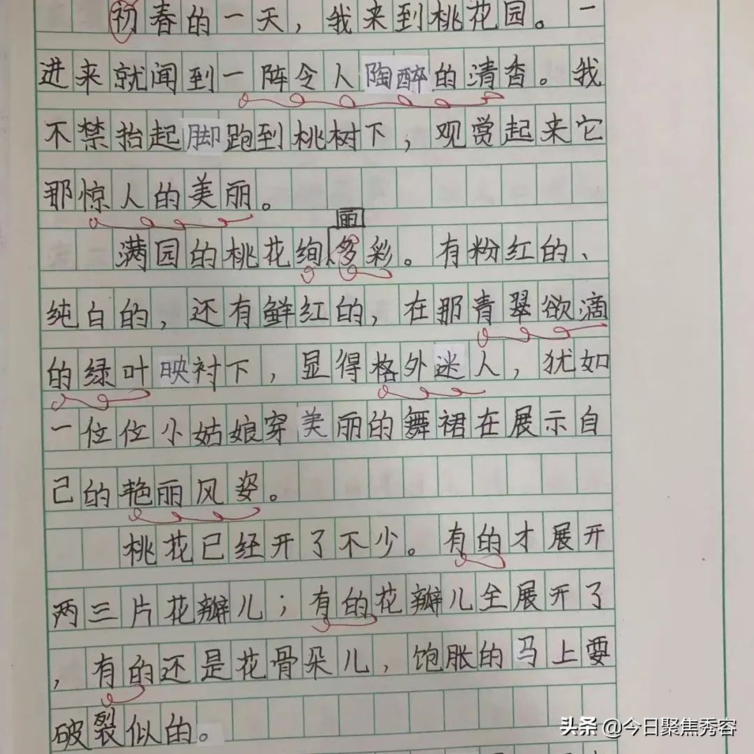 忻州市长征小学西校区开展教案作业活动(图17)