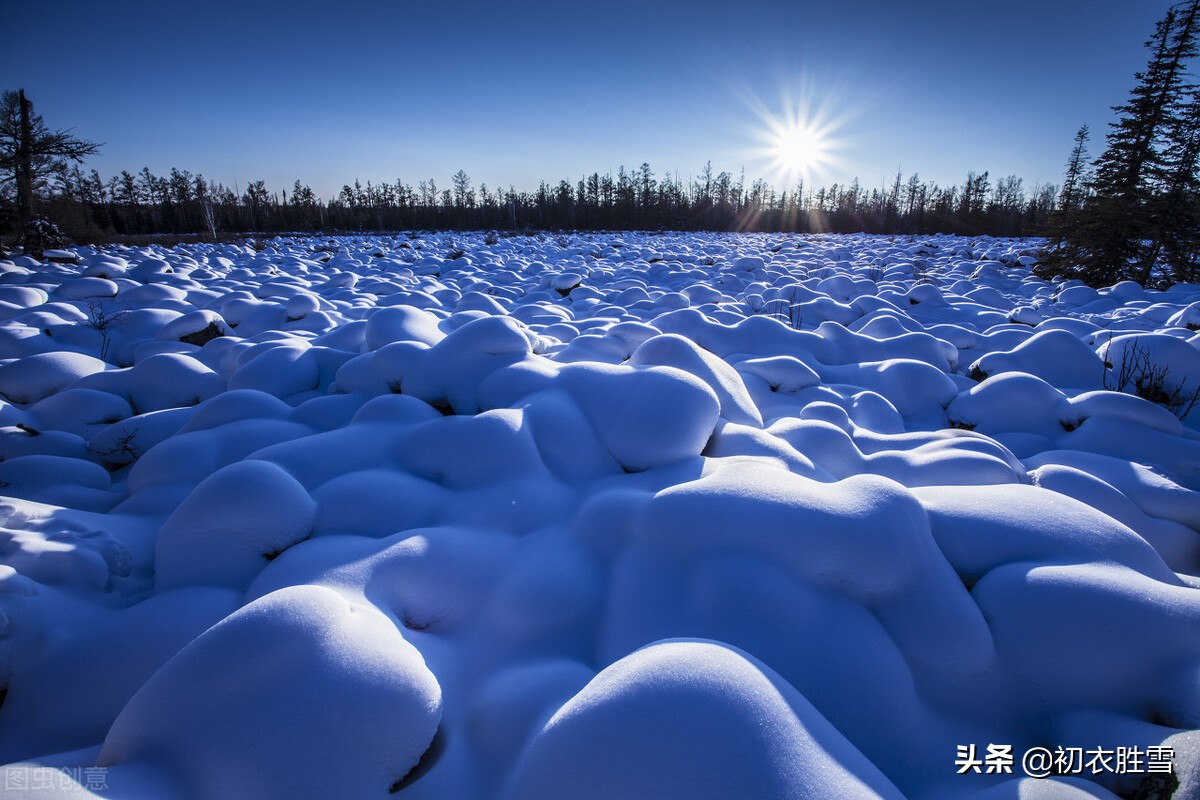 ​腊雪美诗六首：片片嘉平瑞，朝来雪满天